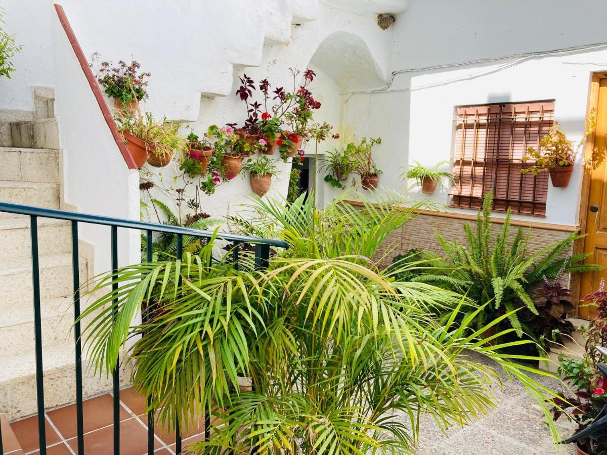 Apartamento Conil Centro Conil De La Frontera Buitenkant foto
